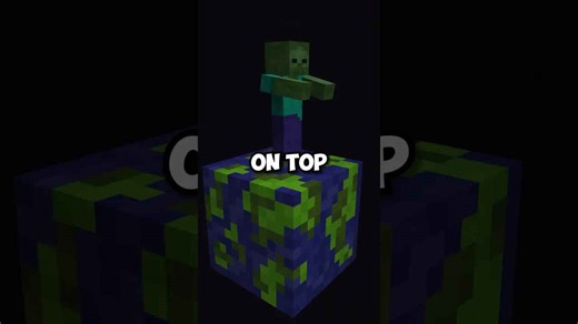 Largest Minecraft map room ever built