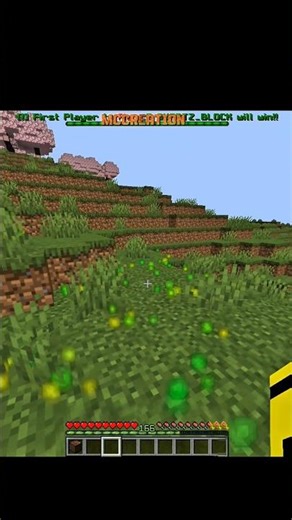 You Won’t Believe This Minecraft + Smallest Violin Combo 😳 #minecraftshorts #shorts