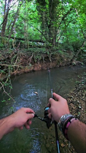 @mickanapeche_ | Matériel utilisé / Material used : 🚨 -5% sur / on Rodhouse avec le code promotionnel / with the promotional code : MICKANAPECHE5 🚨 Canne... | Instagram