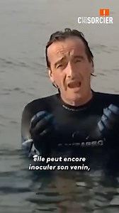 La méduse à éviter... 😨 | C'est pas sorcier