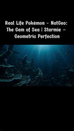 Exploring the Beauty of Starmie: A National Geographic Documentary