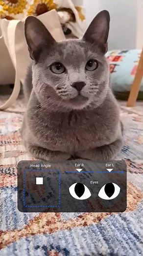 Face Animation Rig Testing with Joysticks n Sliders in After Effects