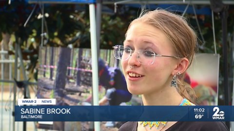 The 48th Baltimore Ukrainian Festival kicks off this weekend