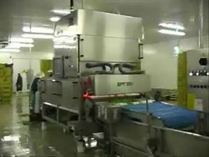 Spray optical sorter for Baby Leaf fresh cut salad | RAYTEC VISION SpA