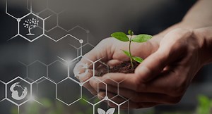 Digital Watermarks - Innovative Services | Wipak