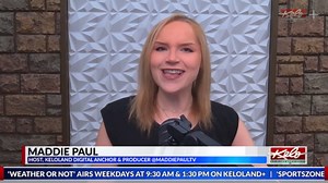 Raptors at the digital desk, weekend events & activities | Boredom Busters