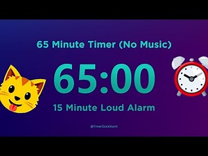 65 minute Timer Countdown No Music with Loud Alarm