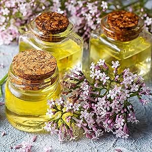 Amazon.com : Eden Brothers Valerian Seeds : Patio, Lawn & Garden