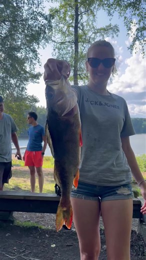 #Angeln in #Schweden #Flussbarsch 40cm