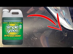 How to Clean Bugs Off Car - The Easy Way