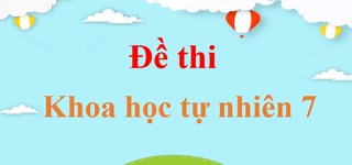 7 Đề thi Giữa kì 1 KHTN 7 Kết nối tri thức năm 2025 (có đáp án) | Đề thi Khoa học tự nhiên 7.