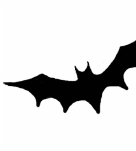 Exploring the Legacy of 2010's Sasuke