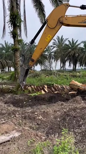 Ming’s Excavator Parts on TikTok