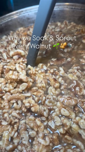 Sprouted Walnut Butter | Ever wondered why we soak and sprout our walnuts? 🌱🥜 Here’s the simple reason: It’s a traditional preparation method that many cultures... | Instagram