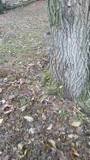 Fun-fun-fun is the name of the game... | Anthony Foutch