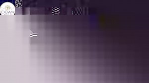 32 reactions · 3 comments | Review of Lunch kum Hitea Buffet by...