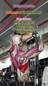 Oct 28, 2025 | Full Body Mesocycle 2 | Week 3 | Day 2 - PULL Workout 1