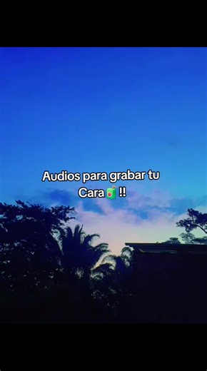 Audios para Grabar Tu Cara: Creatividad Musical