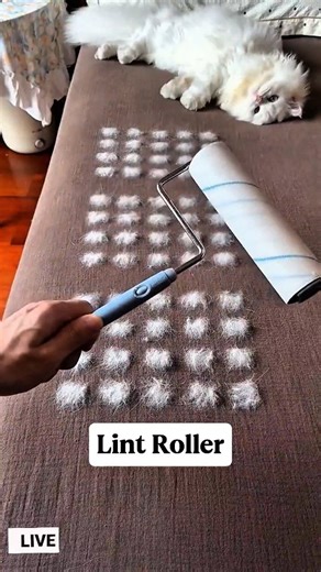 Pups Bar on Instagram: "👉 Link in bio @pups_bar 🔗 ✨ Say goodbye to shedding fur! 🐶🐾 Our 🧤 Double-Sided Pet Hair Remover Gloves are a must-have for every pet parent! 💨 Removes loose fur 💆‍♂️ Feels like a massage 🐕‍🦺 Works for all coat types 🛒 Order now via @pups_bar Bio 🎉 50% OFF Today + 🚚 Fast Worldwide Shipping 🌍 #doggo #petlove #hairremoval #doglife #dogmom 🐕 #dogdad 🐾 #petgrooming 🛁 #furbaby"