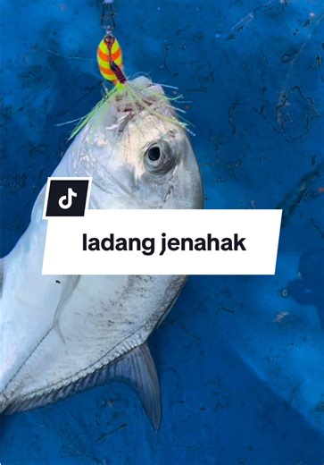 Trip renew lesen 2026 🫣 #fyp #langkawi #jigging #jiggingjenahak #fishing