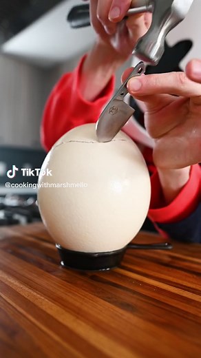 Ostrich Egg #avocado #toast #ostrichegg | Marshmello