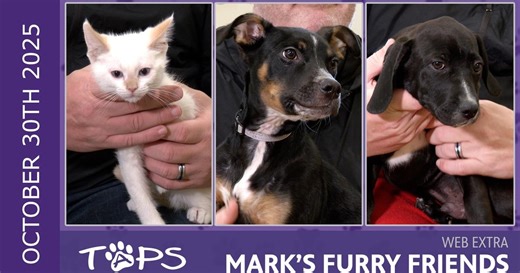Mark’s Furry Friends:10/30/2025 | Ultra, Marnie and Jerky Stick | Mark's Furry Friends Extra Season 3 Episode 34