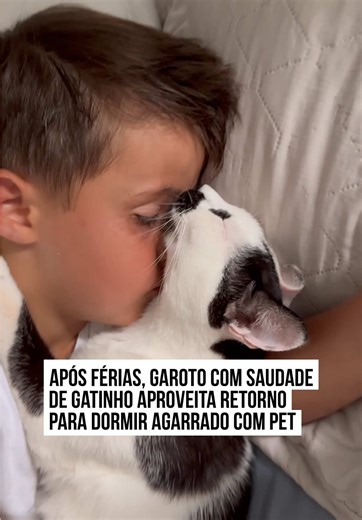 🥹😻 Depois de curtir uma semana de #férias na praia, o pequeno Heitor não escondeu que a saudade do #gatinho Bigode estava apertando o peito. Segundo a #mamãe, Tatiana Vailatti, o menino teve dificuldades para dormir sem o companheiro felino por perto. Assim que retornou para casa, Heitor rapidamente foi de encontro a Bigode, aproveitando a companhia para tirar um cochilo daqueles ao lado do pet. O reencontro para lá de fofo encantou e derreteu o coração dos internautas, que destacaram o moment