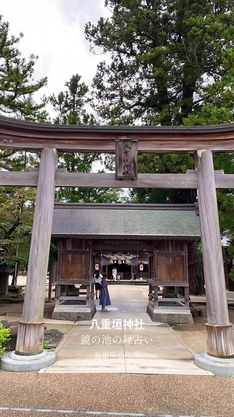 #島根県#松江市#神社 #鏡の池#島根観光 #八重垣神社 #japan#japantravel 鏡の池 稲田姫命が八岐大蛇の難を避けるため、八重垣にお隠れになった時に飲料水とし、また御姿をお写しになられた池と伝えられています。稲田姫命の御霊魂が深く滲透した池は、ご縁の遅速を占う池として知られ、池の奥には稲田姫命をお祀りする「天鏡神社」が鎮座しています。