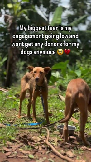 Sharing is caring for any support kindly donate via our donation link in bio