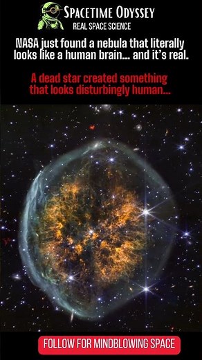 NASA Found a “Brain” in Space… And It’s Real 🧠✨ #shorts