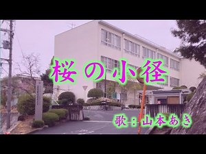 桜の小径／山本あき
