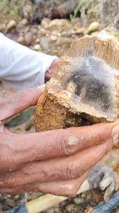 162K views · 917 reactions | Digging for gemstones at a gold mine site. #Goldminelocation #Goldmine #TreasureHunting #digging #Diggingforgemstones #Treasure #gemstone #agate #jade #agate #Petrifiedwood #Fossilwood #bedrockcrack #Crystalstone #Chalcedony #quartz #blackdiamond #blackjade #stoneage | Jonnaidi Jhon Diamond | Facebook