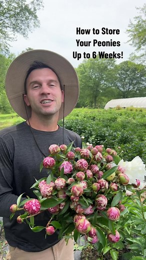 petalpickers on TikTok