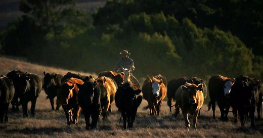 Inside the gates of a media tycoon's private ranch