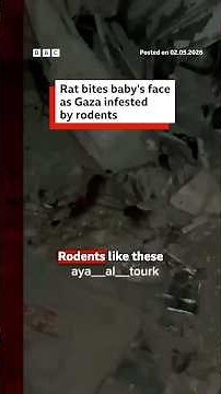 Rat bites baby’s face as Gaza infested by rodents. #Gaza #BBCNews