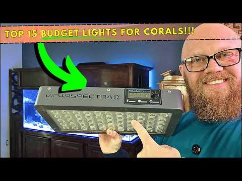 These "Cheap" lights will grow just about any corals!