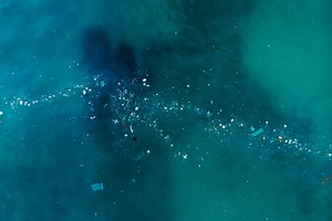 A History of Greenwashing: How Did We Get Here?