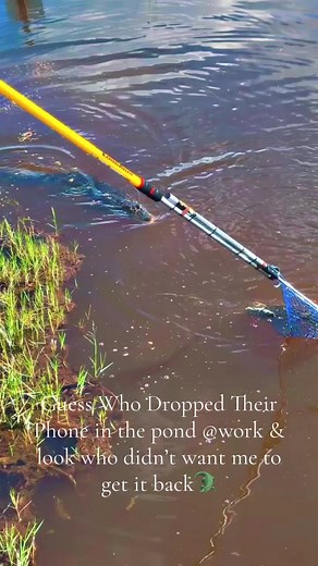 Only Me 🙄🤣 #Alligator #InfinityScienceCenter #Pearlington #Mississippi #Wildlife #Outdoors