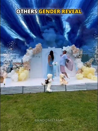 Normal Gender Reveal v/s Last Special One