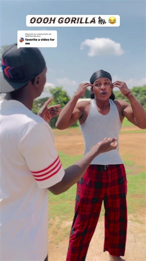 Gorilla Humor: Hilarious Moments Captured in Video