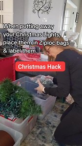 3.5K views · 36 reactions | Organize your Christmas Lights and decorations when you're packing them away so it'll make it easy on yourself next year when you get them back out again. #thedailydiy #christmas #christmaslights #christmashacks #organize | The Daily DIY | Facebook