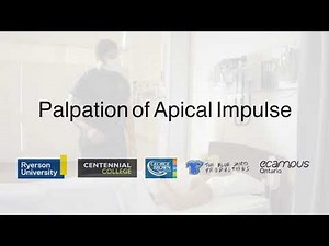 Palpation of Apical Impulse