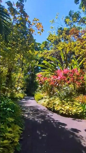 A Peaceful Walk Through the Orchid Garden