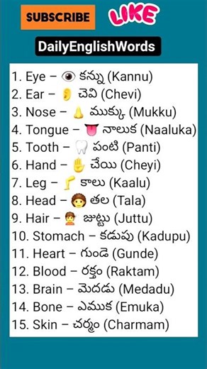 English to Telugu Sentences | Learn with EnglishToTelugu Meaning | #shorts#trending shorts | day-264