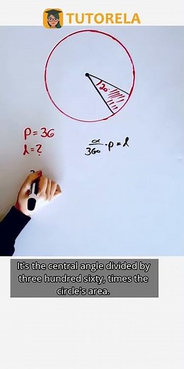 Calculate Sector Area: 20° Slice of a Circle with Area 36 #Math #CircleForNinthGrade