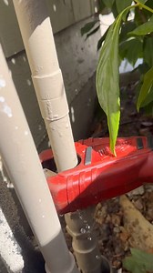 60K views · 413 reactions | how to install a pressure regulator like a pro | Evan Berns | Facebook