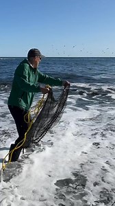 46K views · 209 reactions |  The caplin are rolling at Middle Cove, dear friends. Come get your fill!  #Caplinroll2025 #NLProud #nlpoli #nlwx | NL Proud | Facebook