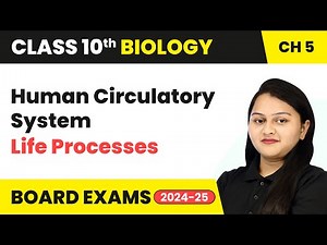 Human Circulatory System - Life Processes | Class 10 Biology Chapter 5 | CBSE 2024-25