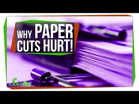 Why Are Paper Cuts So Painful?