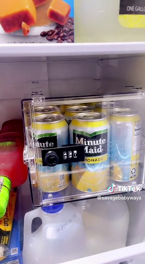 Innovative Refrigerator Lock Box for Keeping Your Snacks Safe